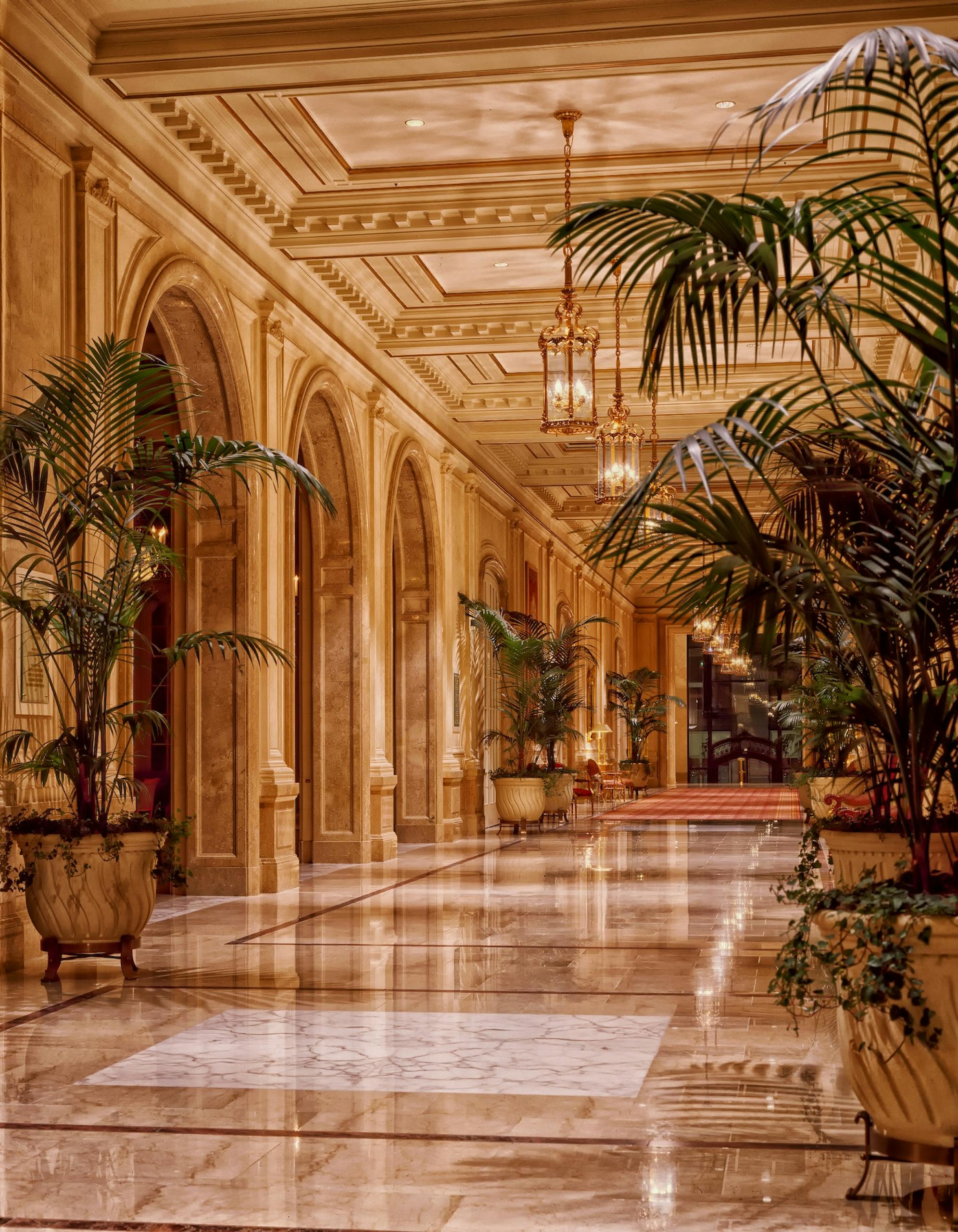 Luxurious hotel lobby featuring elegant lighting and marble flooring accented by lush indoor plants